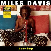 【輸入盤】ドゥー・バップ（アナログ盤）