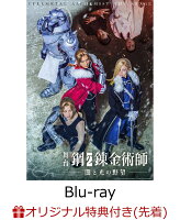 【楽天ブックス限定先着特典】舞台「鋼の錬金術師」 闇と光の野望(初回仕様限定版)【Blu-ray】(ブロマイドセットD)