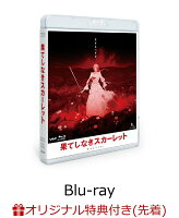 【楽天ブックス限定先着特典+先着特典】果てしなきスカーレット Blu-ray スタンダード・エディション【Blu-ray】(アクリルコースター+めじるしアクリルチャーム)