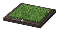 【＜三次＞7月1日〜7月26日】大谷翔平×高崎だるま【フィールド台座】【クレジットカード決済限定】