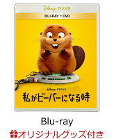 【楽天ブックス限定グッズ+楽天ブックス限定先着特典】私がビーバーになる時 ブルーレイ+DVD セット【Blu-ray】(ランチトート+アクリルキーホルダー)