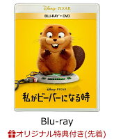 【楽天ブックス限定先着特典】私がビーバーになる時 ブルーレイ+DVD セット【Blu-ray】(アクリルキーホルダー)