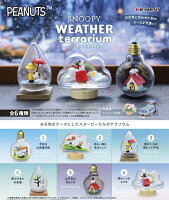 スヌーピー　SNOOPY WEATHER terrarium 【6個入りBOX】