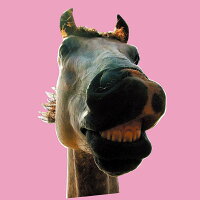 【先着特典】Do!! The★MUSTANG【完全生産限定アナログ盤】(A5サイズ・ジャケット画像クリアファイル)