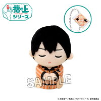 ハイキュー!!　指の上シリーズ　ぐっすりお休みver.　影山飛雄