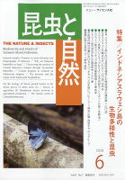 昆虫と自然 2026年 6月号 [雑誌]