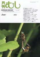 月刊 むし 2026年 6月号 [雑誌]