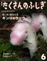 月刊 たくさんのふしぎ 2026年 6月号 [雑誌]
