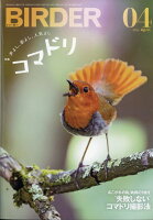BIRDER (バーダー) 2026年 4月号 [雑誌]