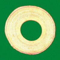 【先着特典】バームクーヘン(A5サイズ・ジャケット絵柄クリアファイル)