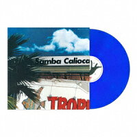 SUNNY PLACE CARNIVAL【アナログ盤】