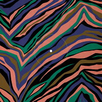 RIVIERA【完全生産限定アナログ盤】