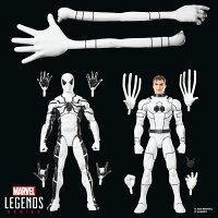 ハズブロ（Hasbro）MARVEL マーベルレジェンド・シリーズ ファンタスティック・フォー ミスター・ファンタスティック＆スパイダーマン コレクション用 15 cm アクションフィギュア G2068 正規品