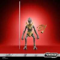 ハズブロ（Hasbro）STAR WARS スター・ウォーズ ビンテージコレクション オーレイ＆ジオノージアン・ピカドール、『スター・ウォーズ／クローンの攻撃 (エピソード2)』プレミアム 9.5 cm コレクション用アクションフィギュア G2769 正規品