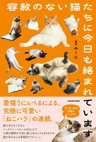 容赦のない猫たちに今日も絡まれています