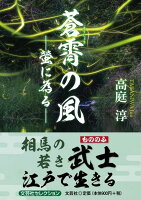 蒼霄の風ー螢に為るー
