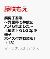 腐男子召喚〜異世界で神獣にハメられました〜【描き下ろし32p小冊子ボイス付き特装版】（13）